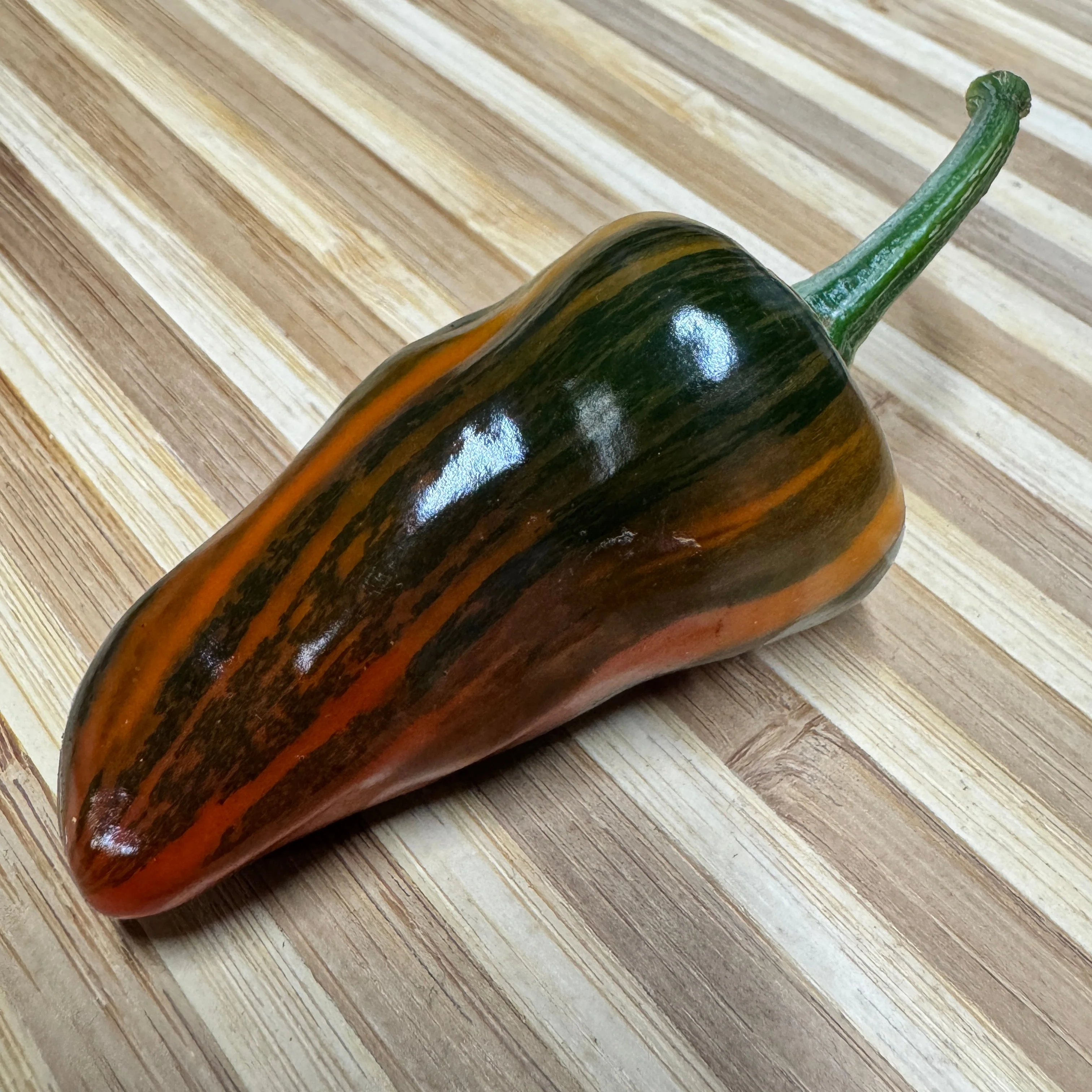 Bryans Blood Rainbow - Seeds - Image 7