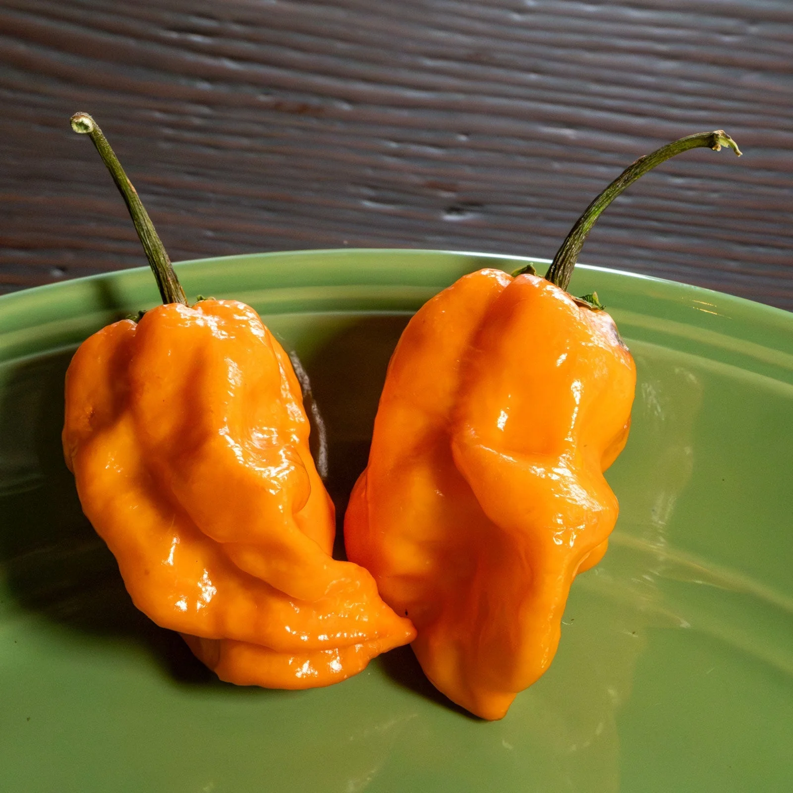 Bubblegum 7 Pot x SRTSL Orange Pepper Seeds - Image 2