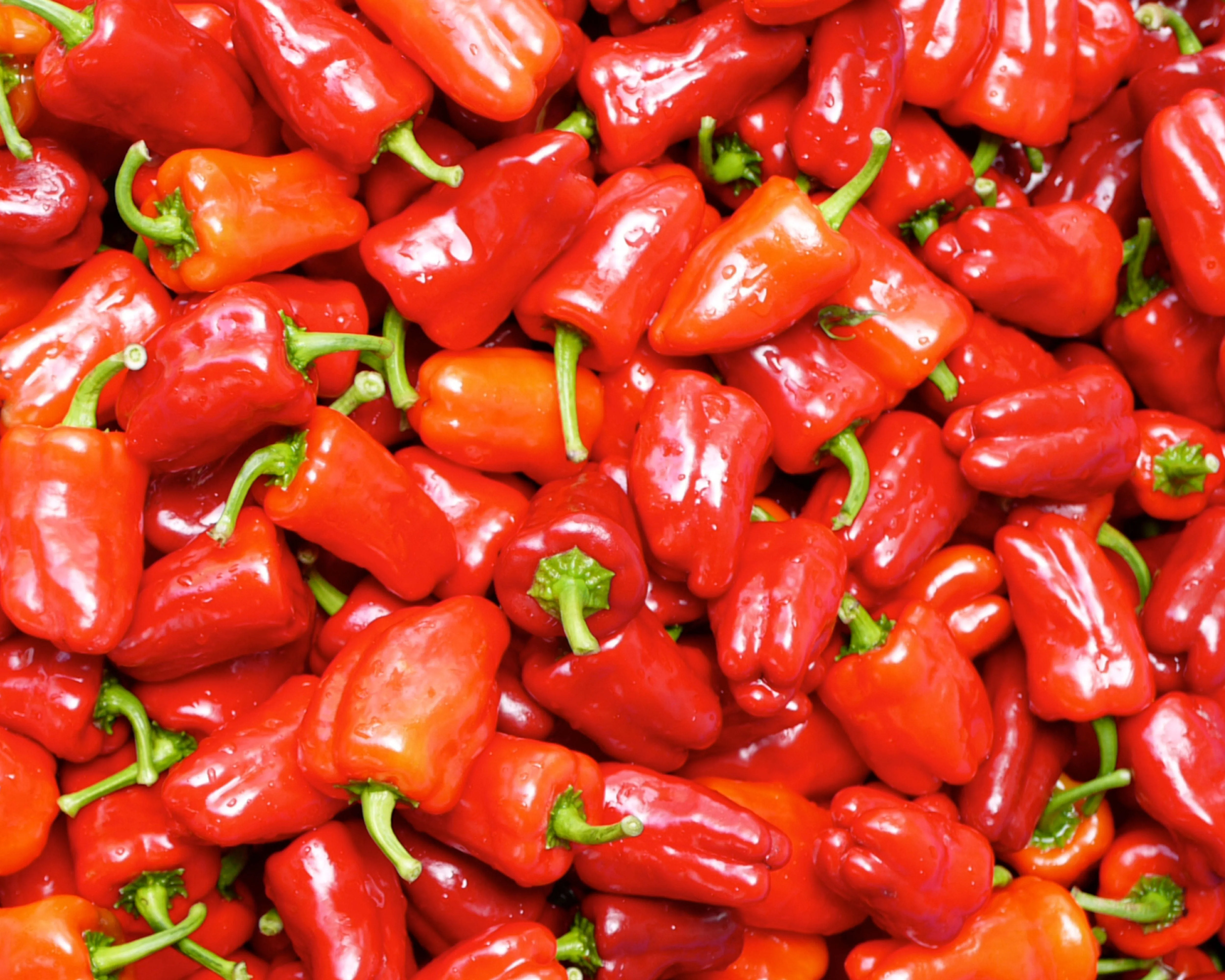 Cajun Belle Hybrid Bell Pepper Seeds - Image 2