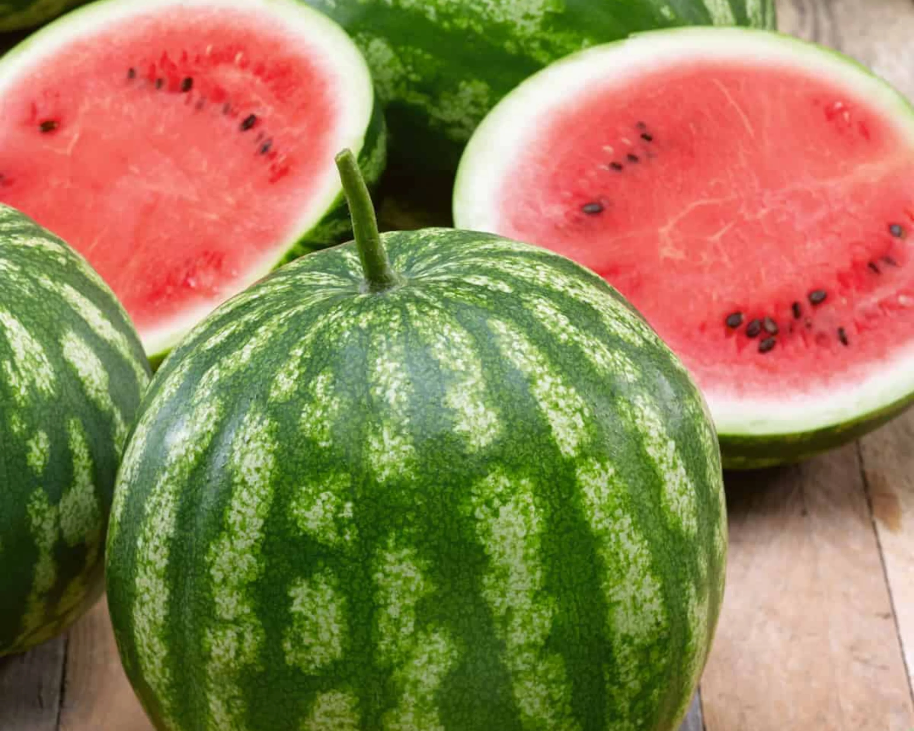 Cal Sweet Bush Watermelon Seeds - Image 2