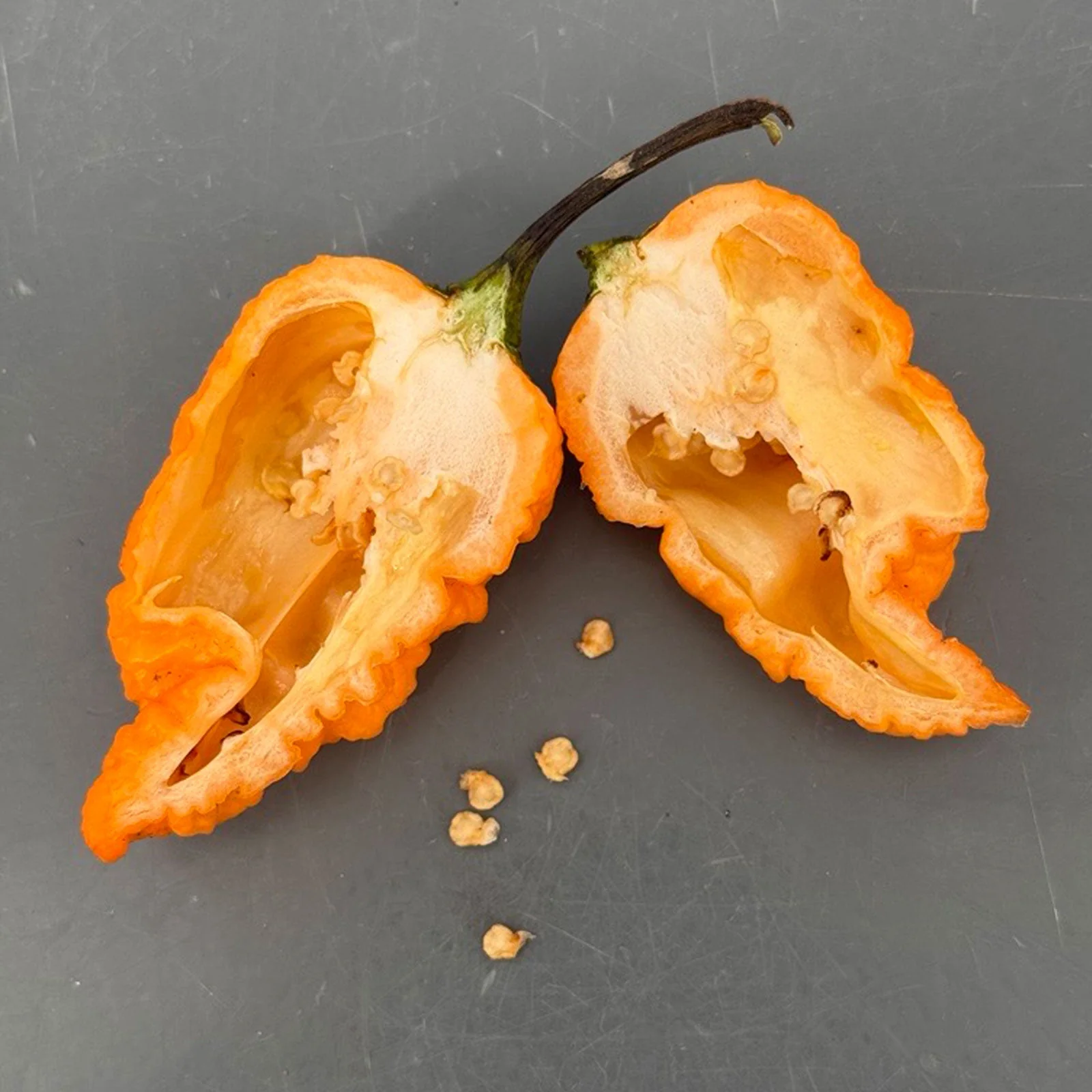 California Reaper Seeds - Image 2