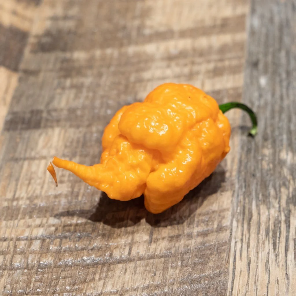 California Reaper Seeds - Image 3