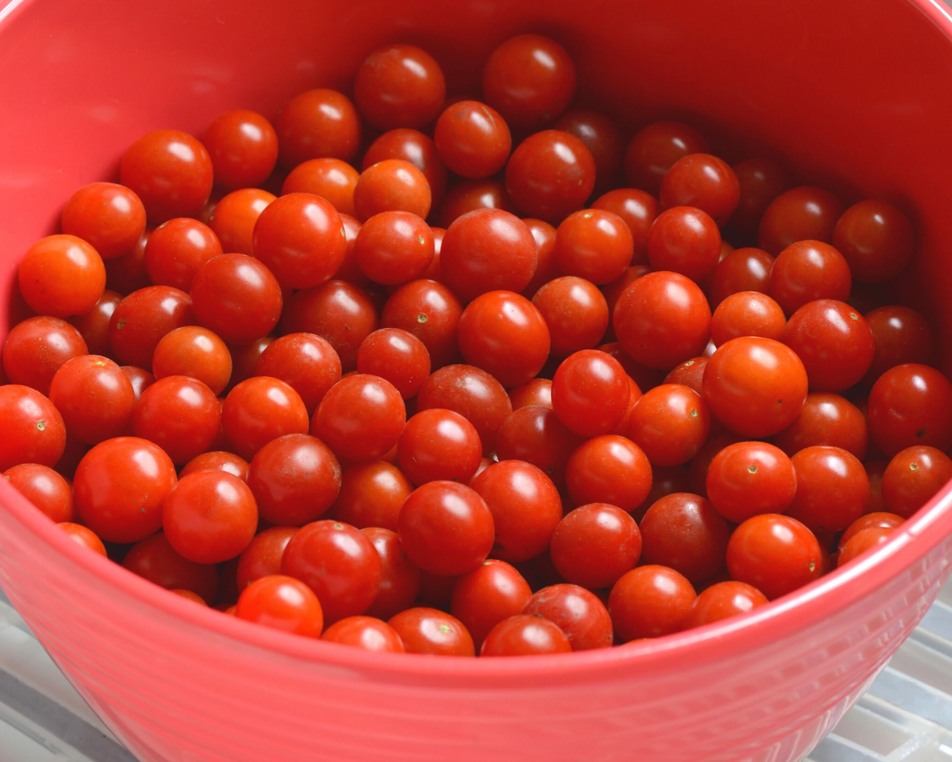 Candyland Red Tomato Seeds - Image 2