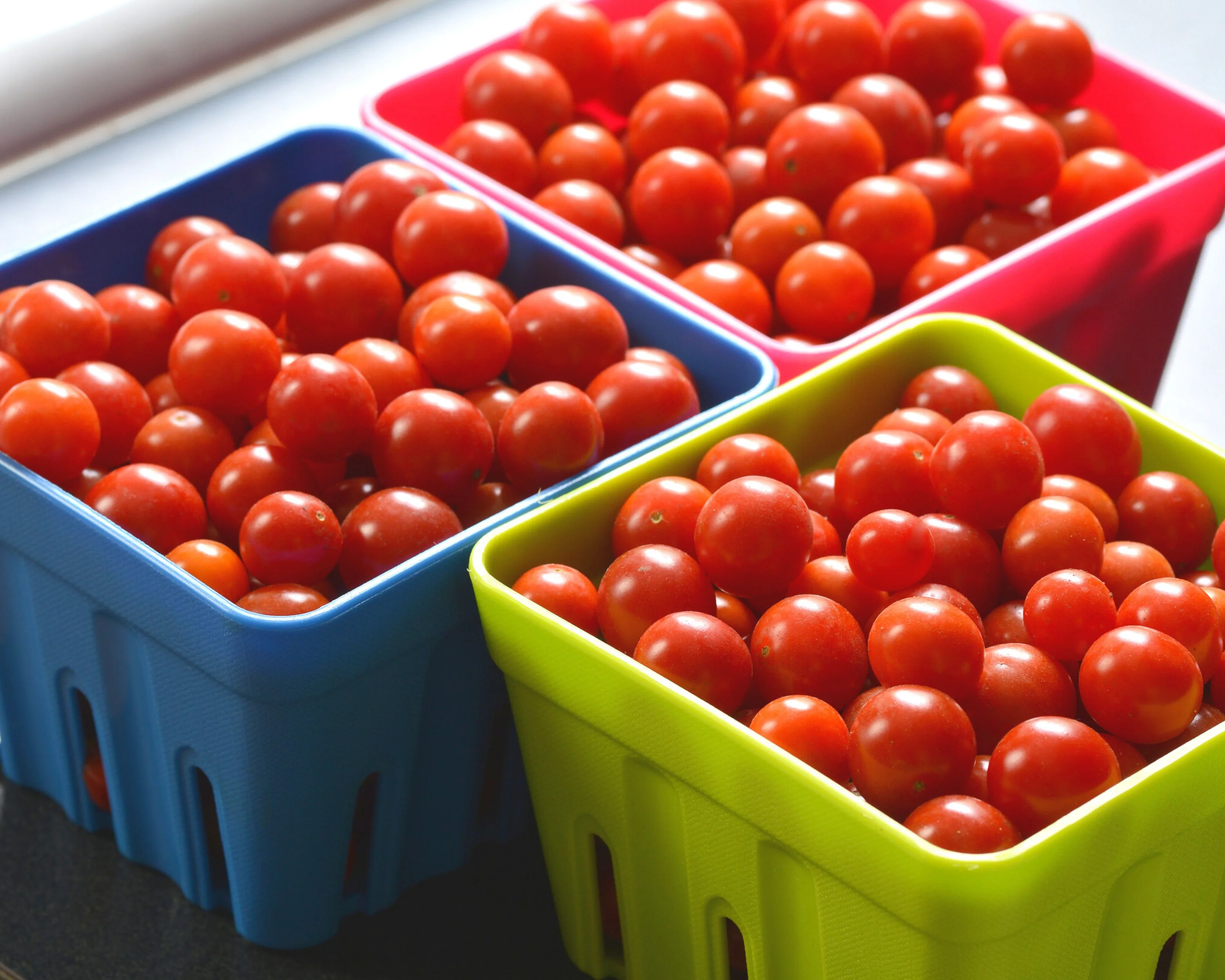 Candyland Red Tomato Seeds - Image 3