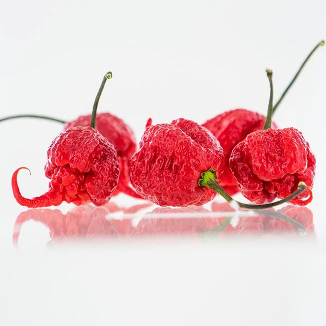 Carolina Reaper Pepper Seeds | HP22B - Image 5