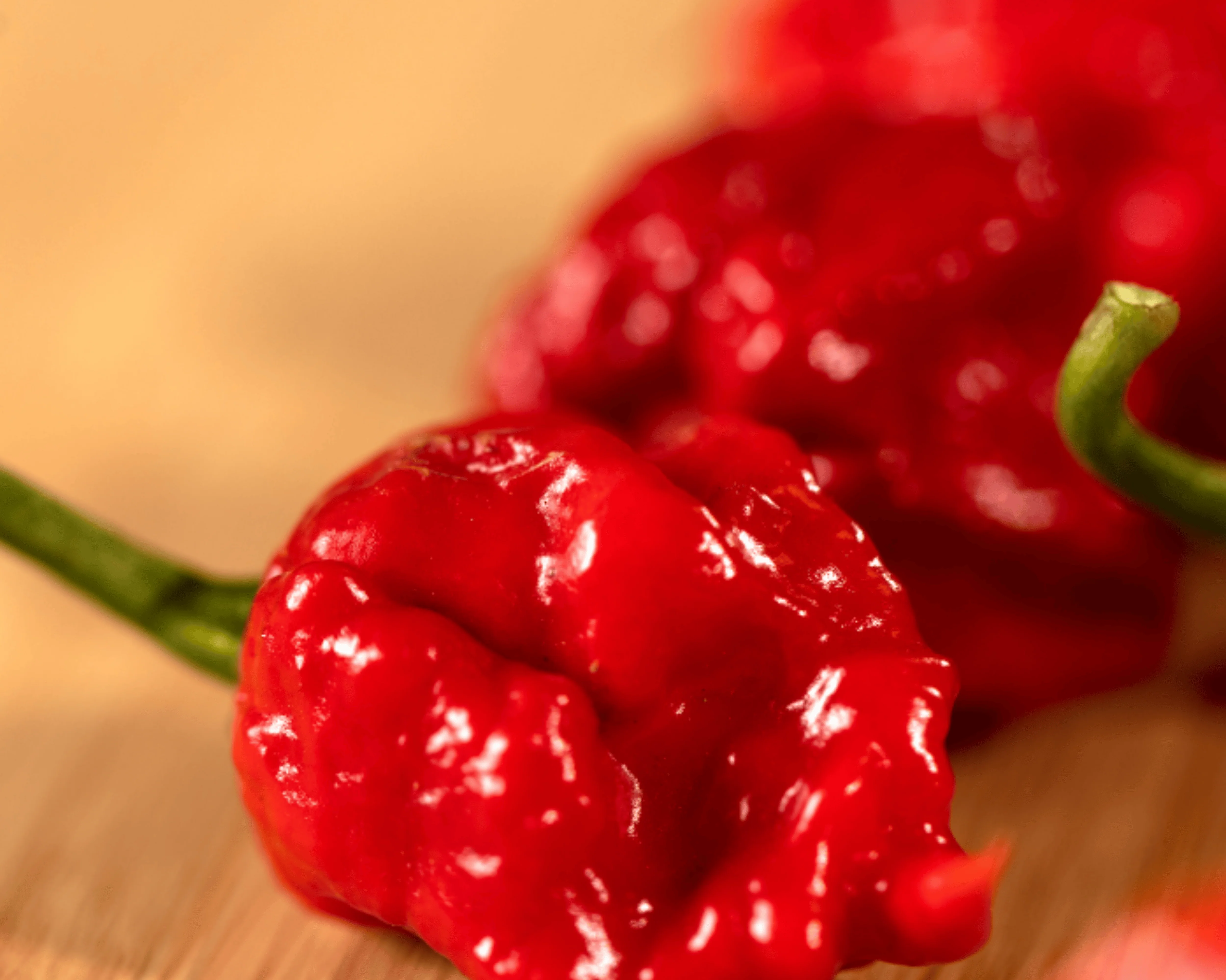 Carolina Reaper Super-Hot Pepper Seeds - Image 2