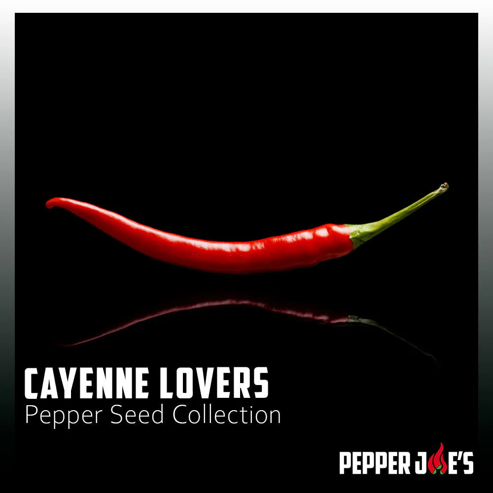Cayenne Lovers Pepper Seed Collection - Image 2