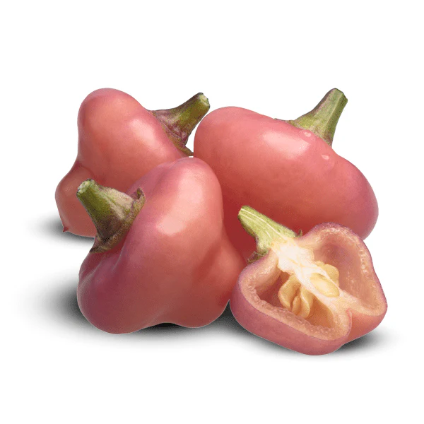Cheiro Roxa Pepper Seeds (Non-Isolated) - Image 5