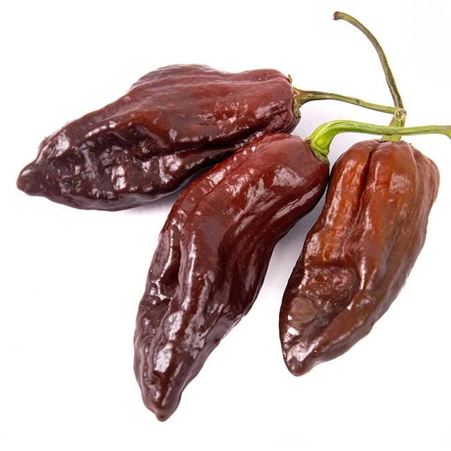 Chocolate Bhutlah Pepper Seeds - Image 2