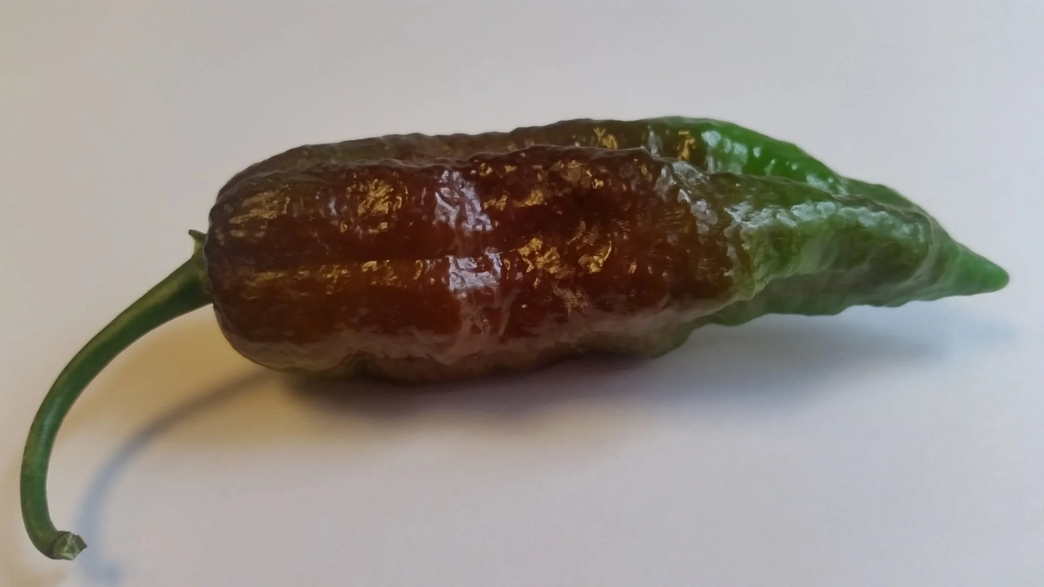 Chocolate Fatalii  - Seeds - Image 2