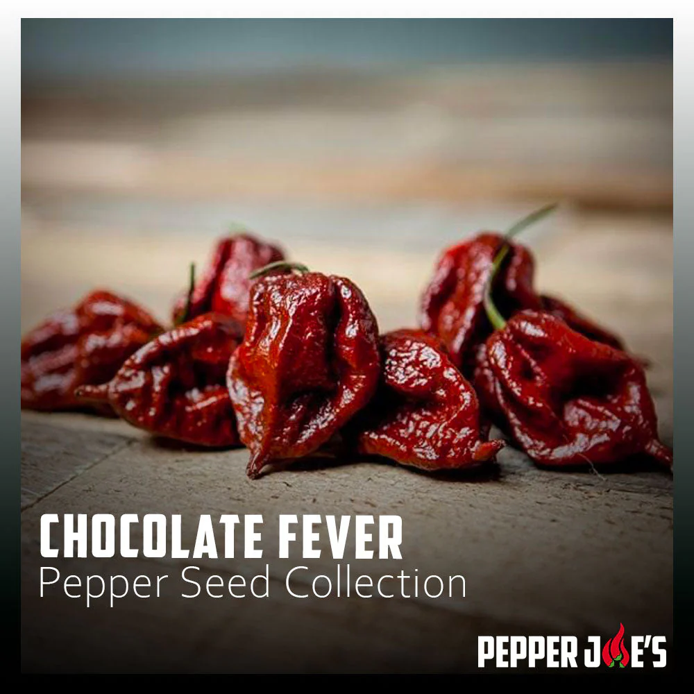 Chocolate Fever Pepper Seed Collection - Image 2