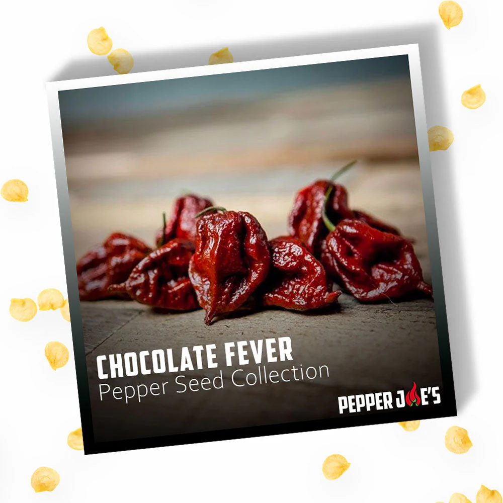 Chocolate Fever Pepper Seed Collection - Image 3