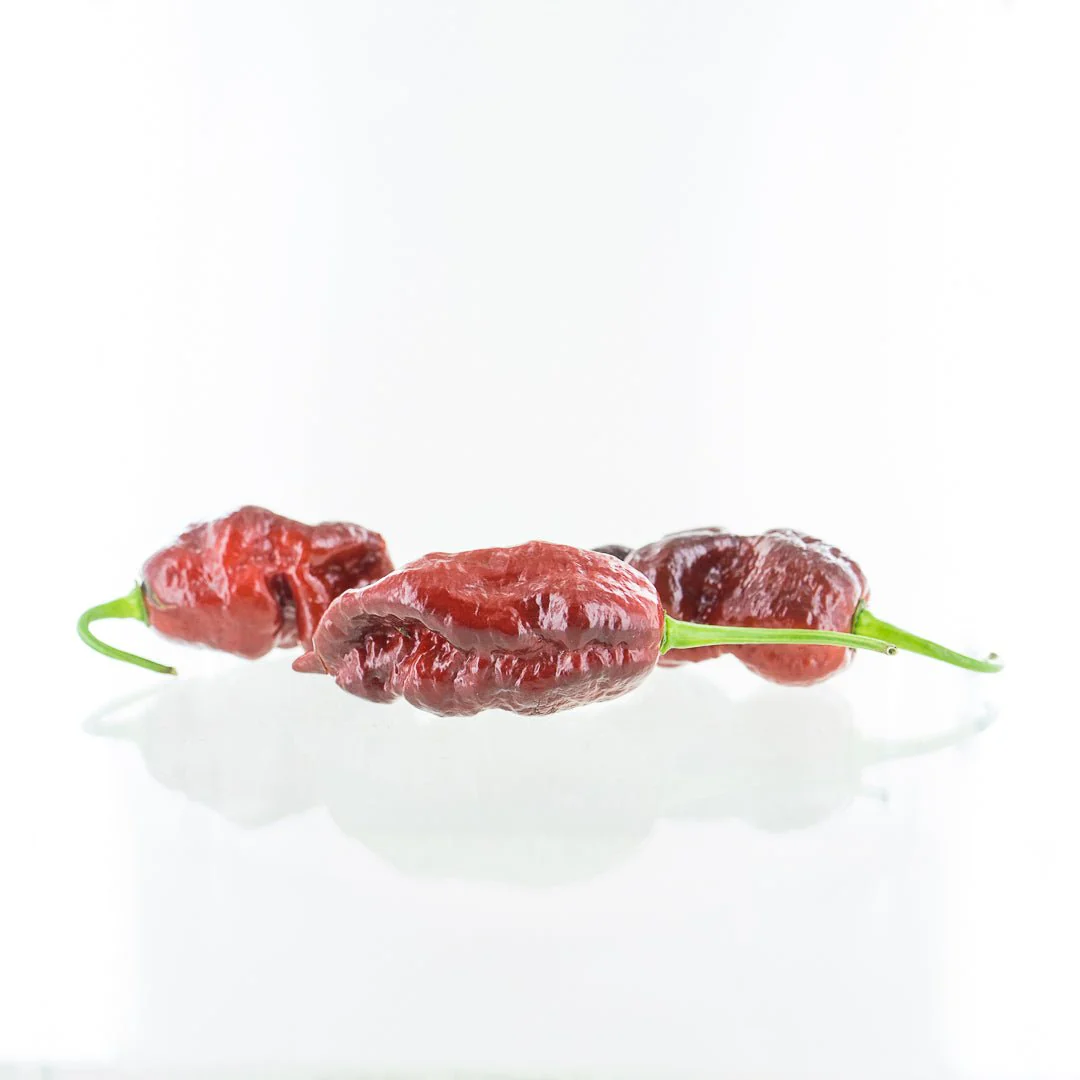 Chocolate Gator Jigsaw Chili Pepper Seeds - Image 2