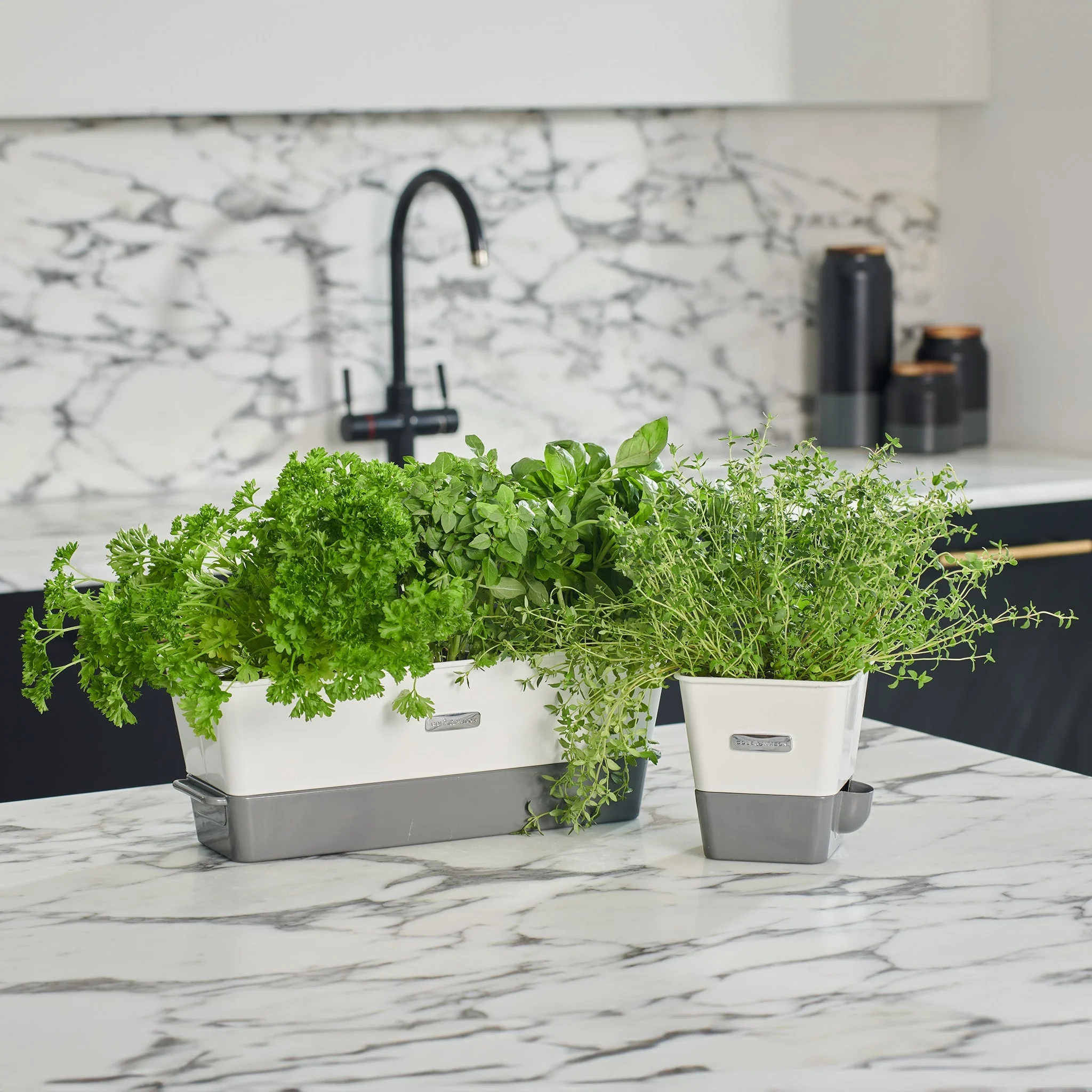 Cole & Mason Burwell Self-Watering Potted Herb Keeper - Image 2