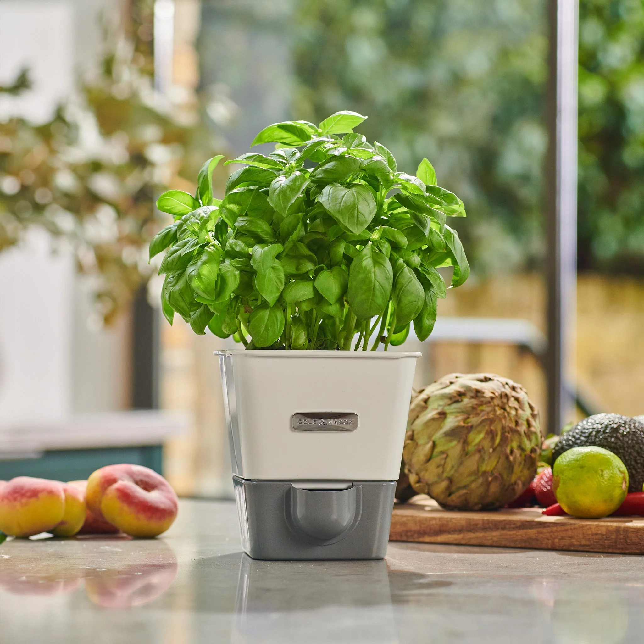 Cole & Mason Burwell Self-Watering Potted Herb Keeper - Image 3