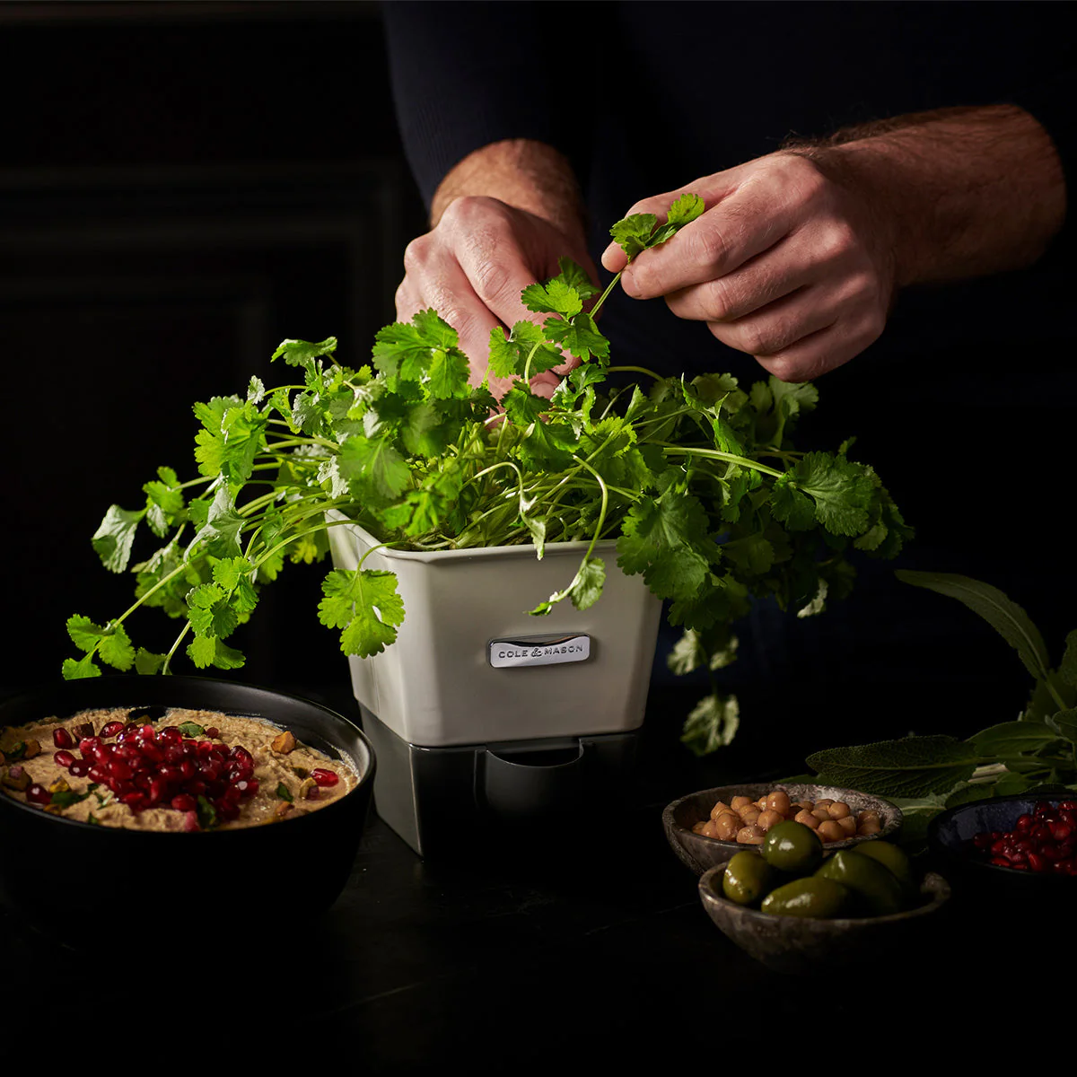 Cole & Mason Burwell Self-Watering Potted Herb Keeper - Image 4