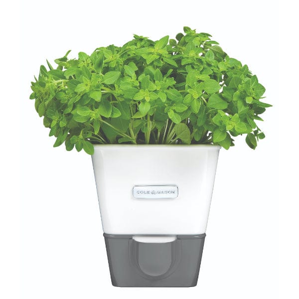 Cole & Mason Burwell Self-Watering Potted Herb Keeper - Image 6