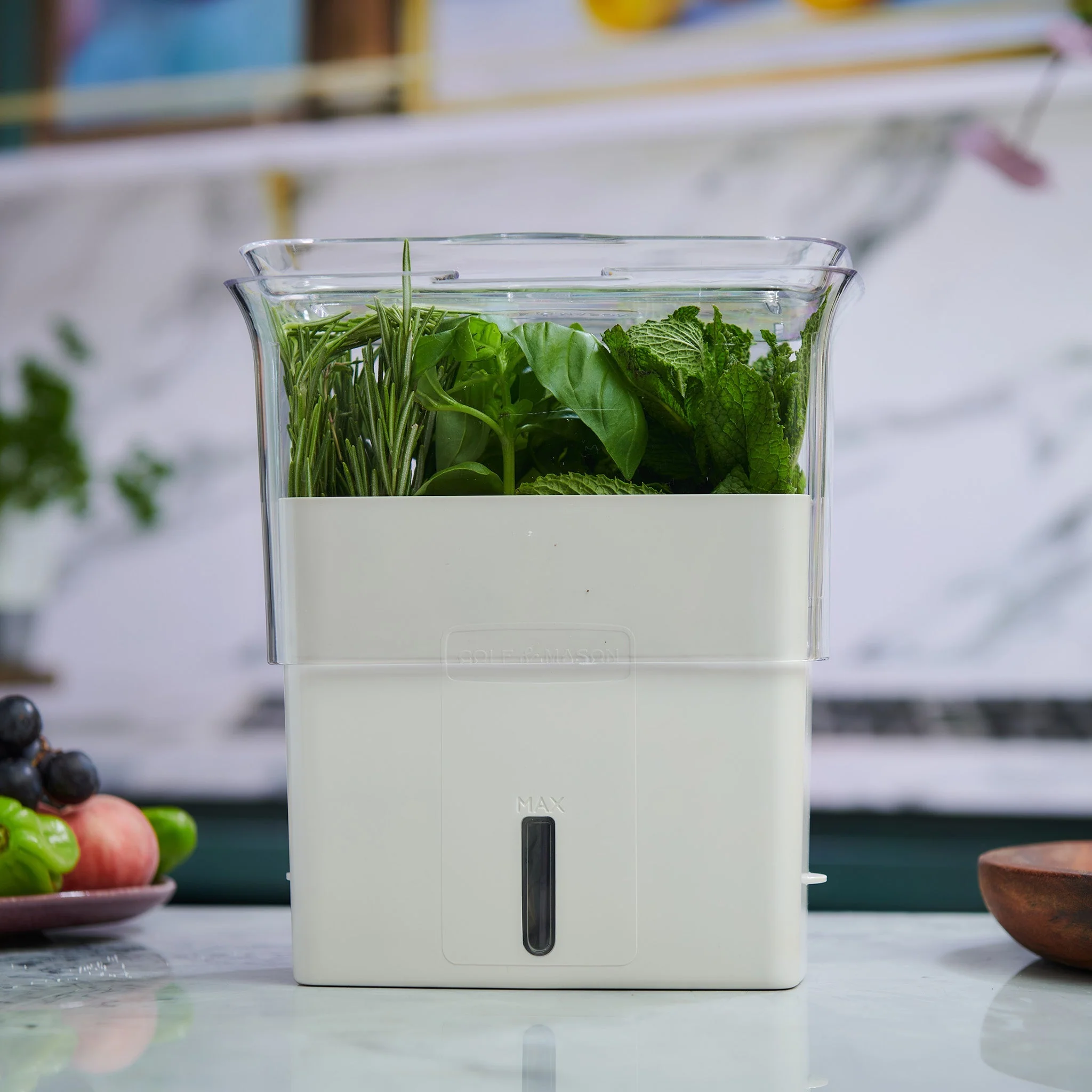Cole & Mason Tealby Cut Herb Keeper - Image 2