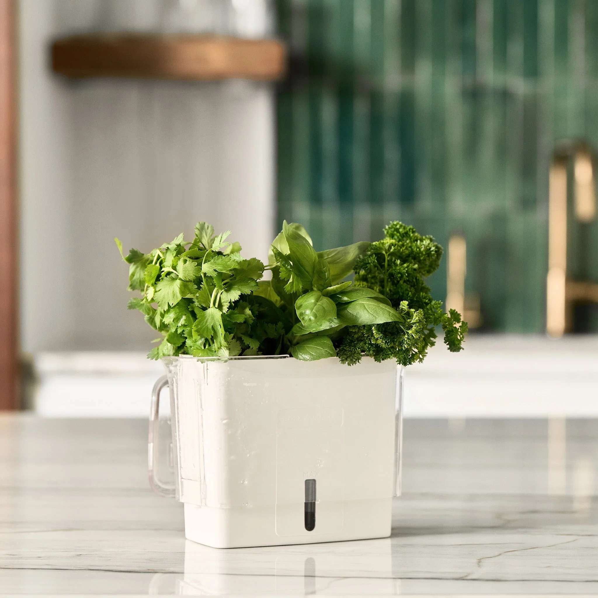 Cole & Mason Tealby Cut Herb Keeper - Image 3