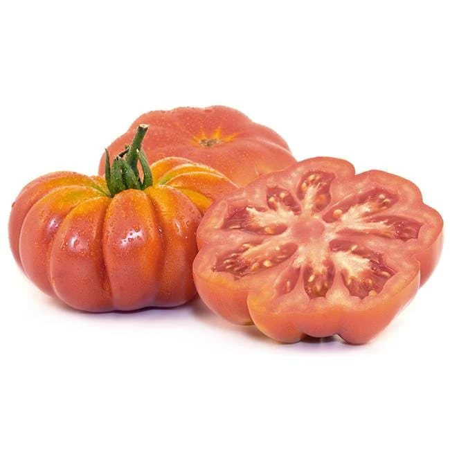Costoluto Genovese Tomato Seeds - Image 3