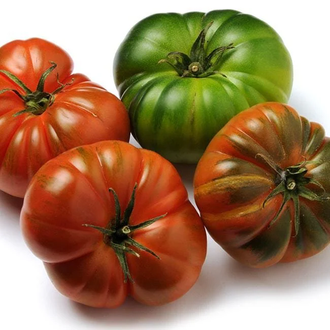 Costoluto Genovese Tomato Seeds - Image 4