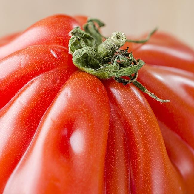 Costoluto Genovese Tomato Seeds - Image 5