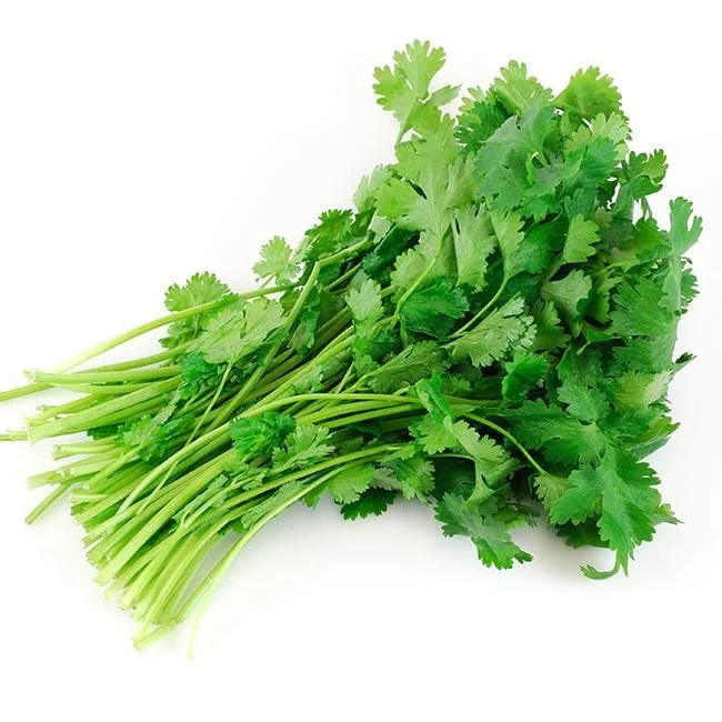 Cruiser Cilantro Seeds - Image 2