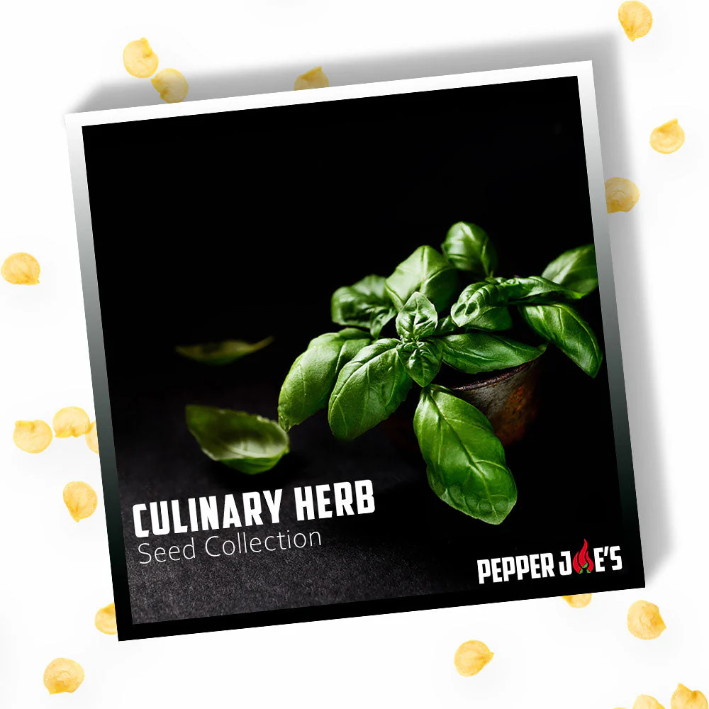 Culinary Herb Seed Collection - Image 3