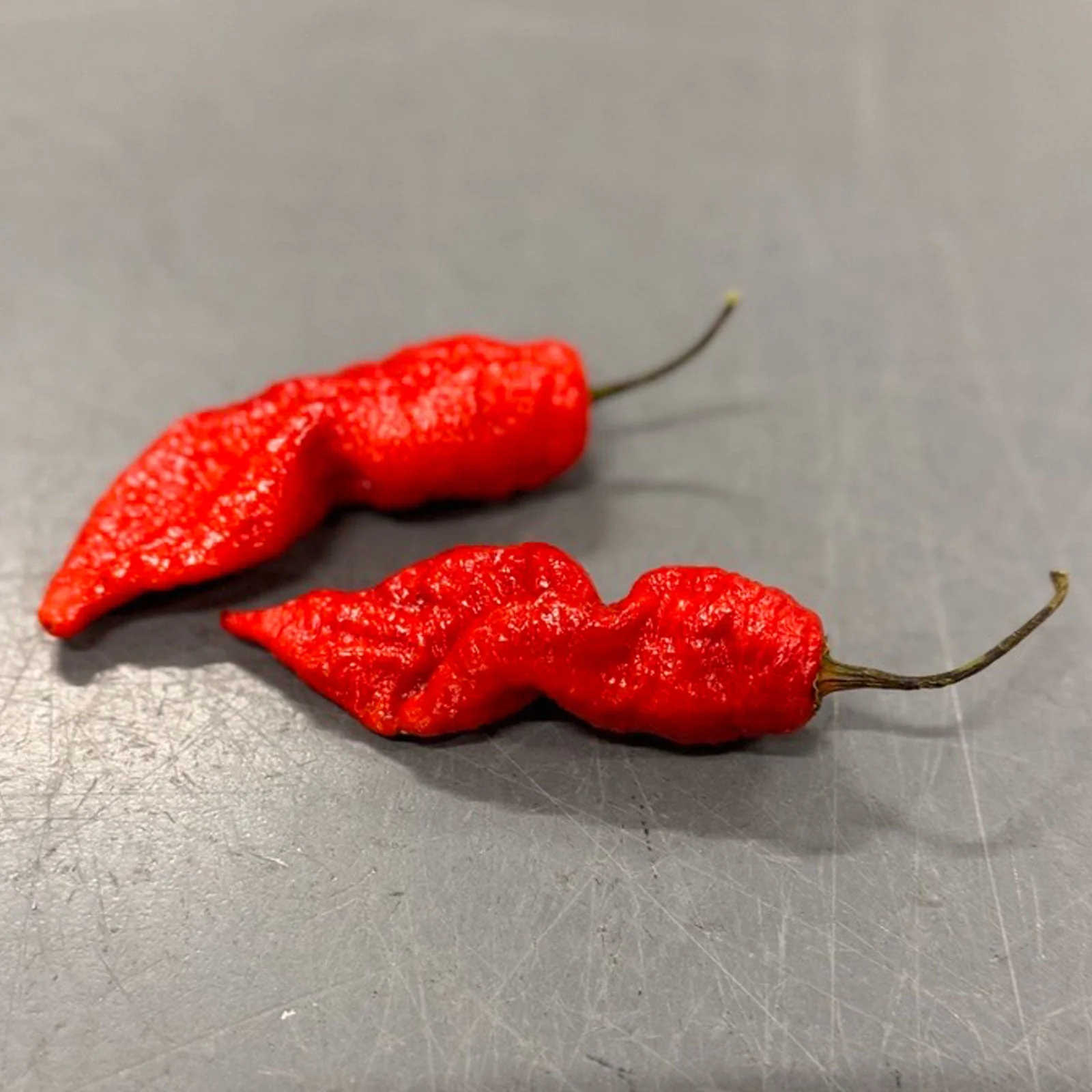 Death Spiral Pepper Seeds - Image 4