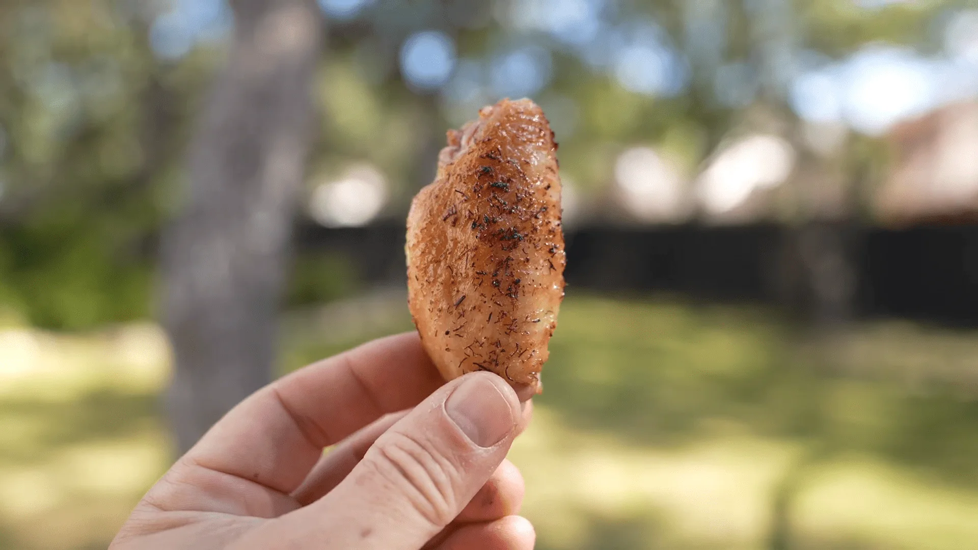Dill Pickle Rub - Image 3