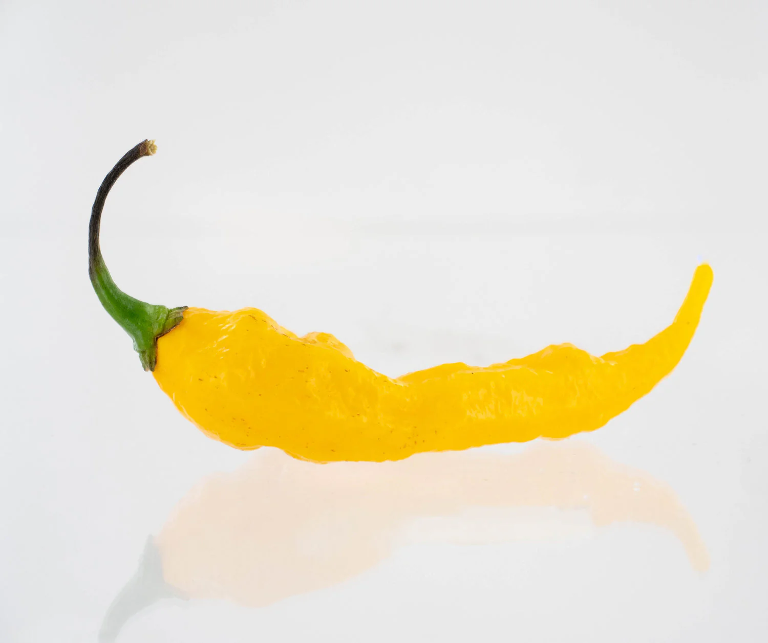 Fatalii Pepper Seeds - Image 2