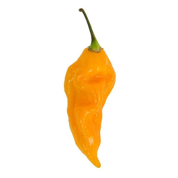 Fatalii Pepper Seeds - Image 4