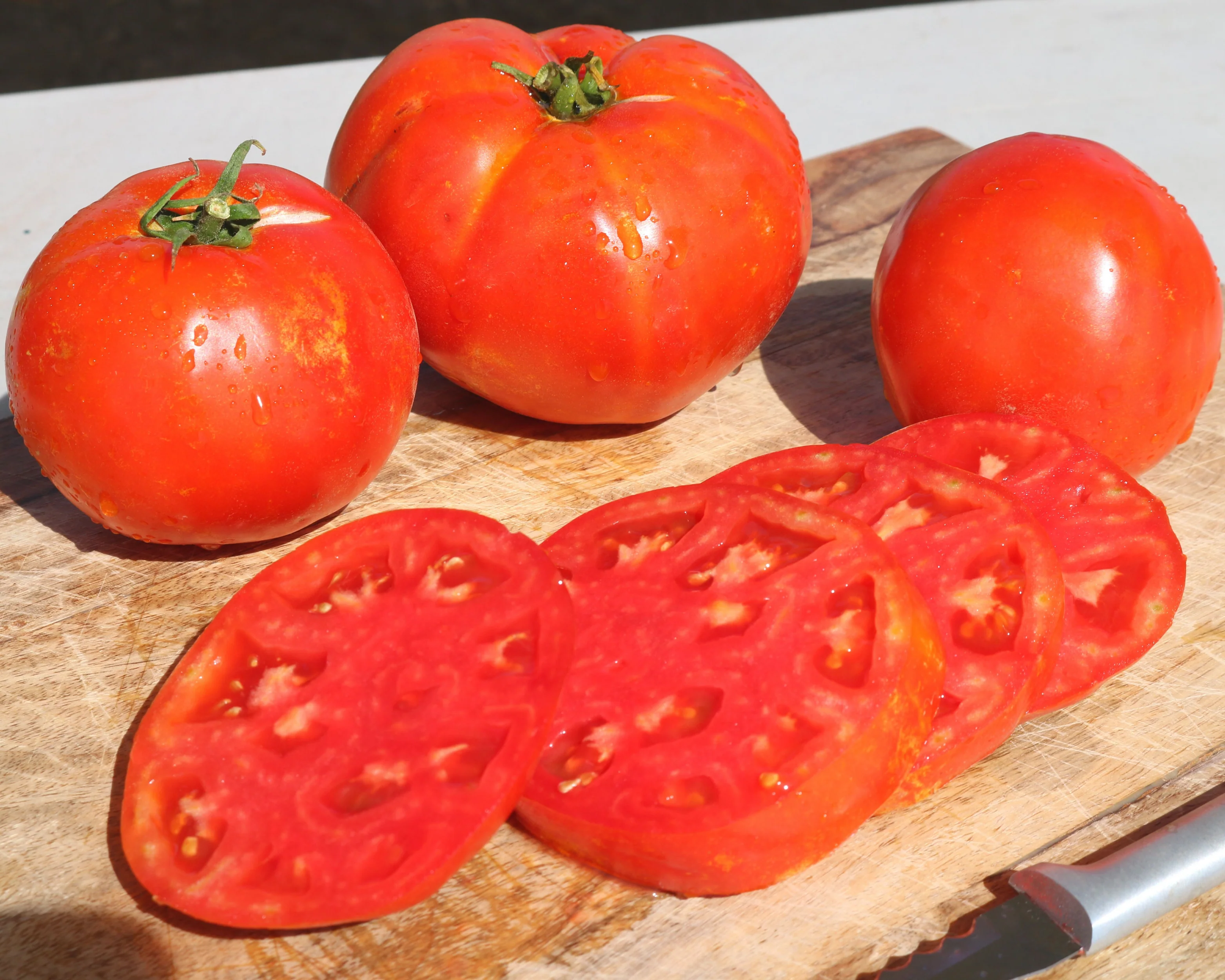 Florida 91 Hybrid Tomato Seeds - Image 2