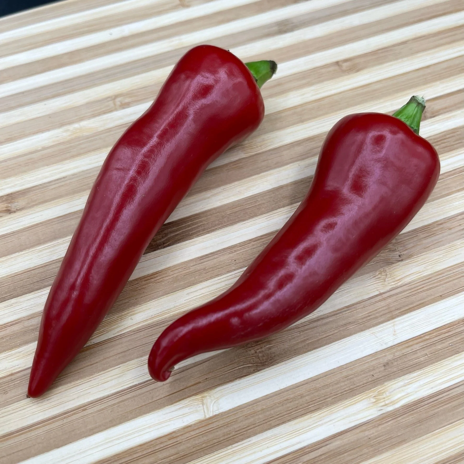Fresno Chile - Seeds - Image 3