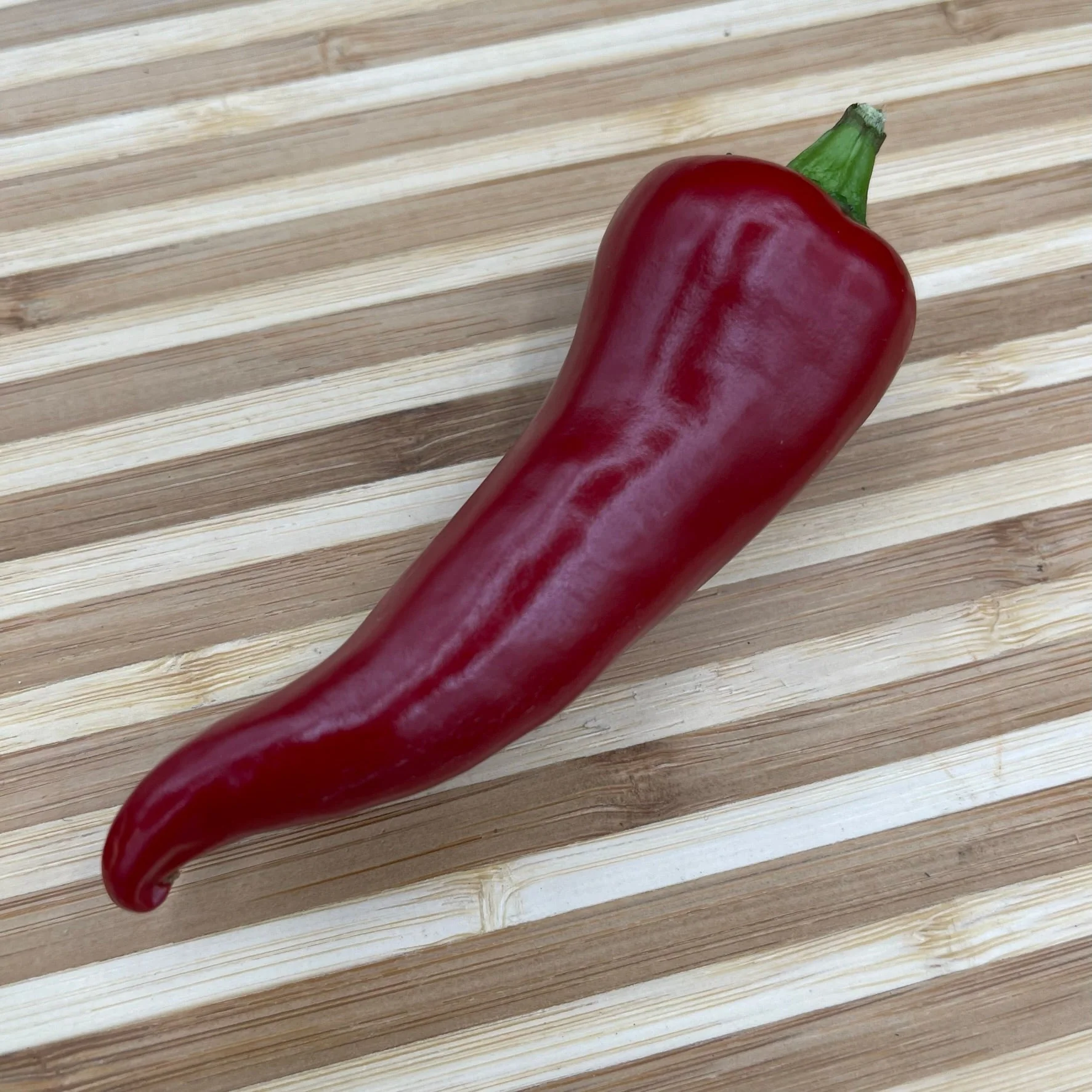 Fresno Chile - Seeds - Image 4