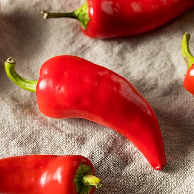 Fresno Pepper Seeds - Image 2