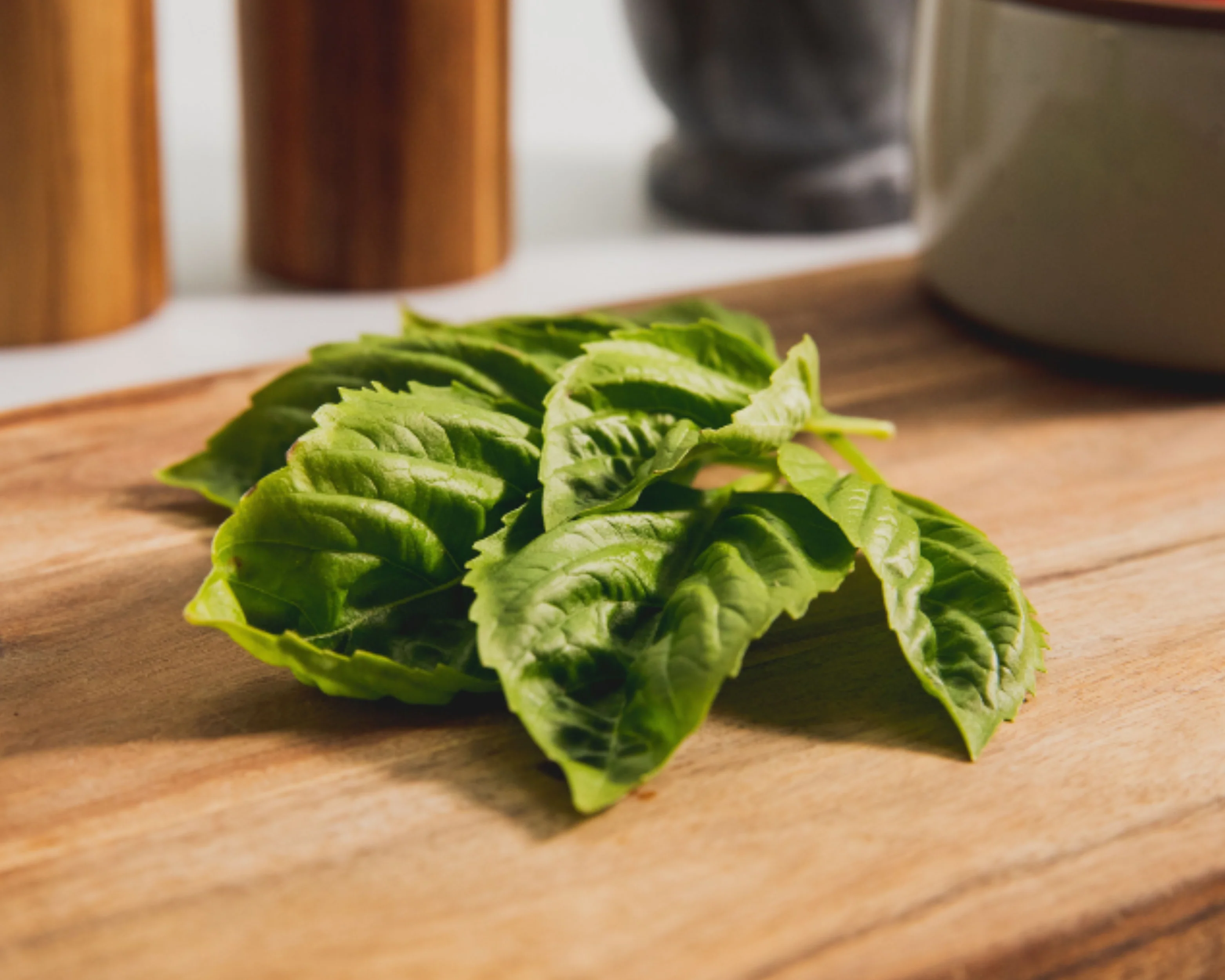 Genovese or Sweet Basil Seeds - Image 3