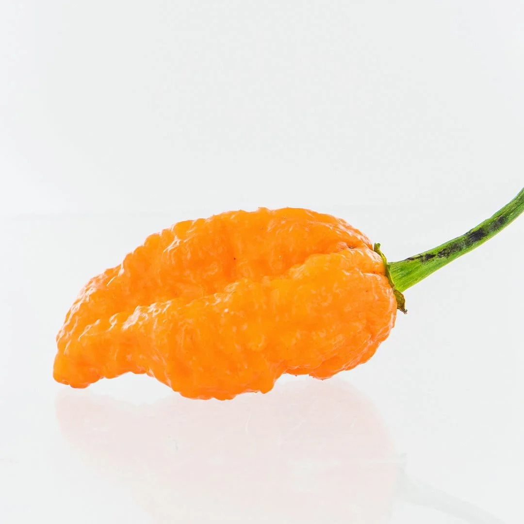 Ghorpion Peach Pepper Seeds - Image 2
