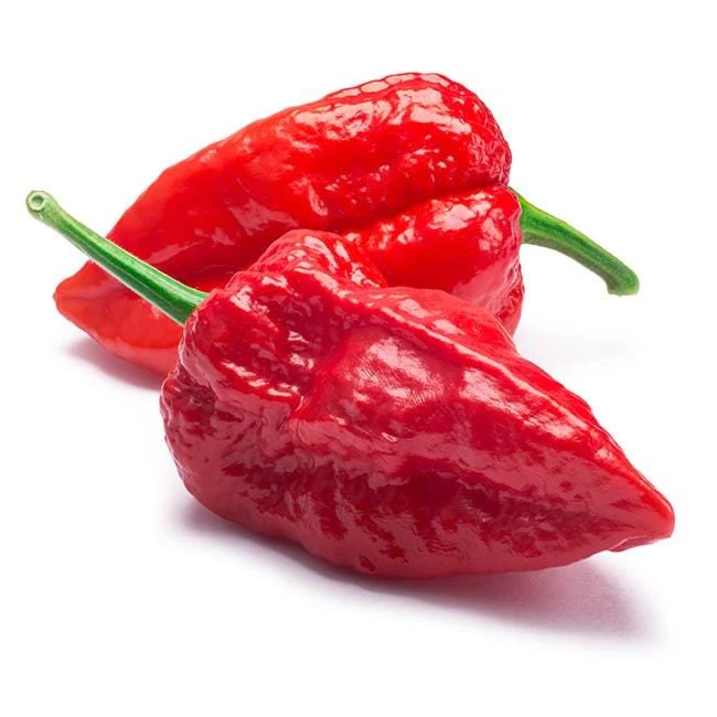 Ghost Pepper Seeds - Image 6