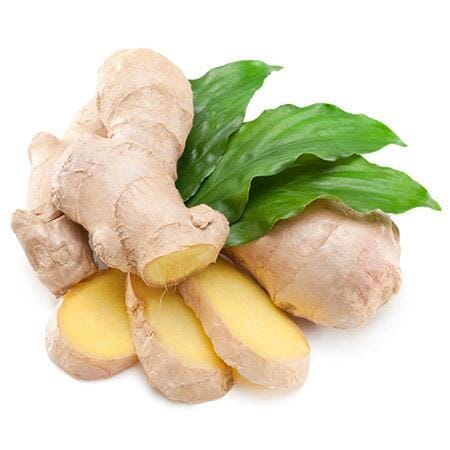 Ginger Plant - Image 2