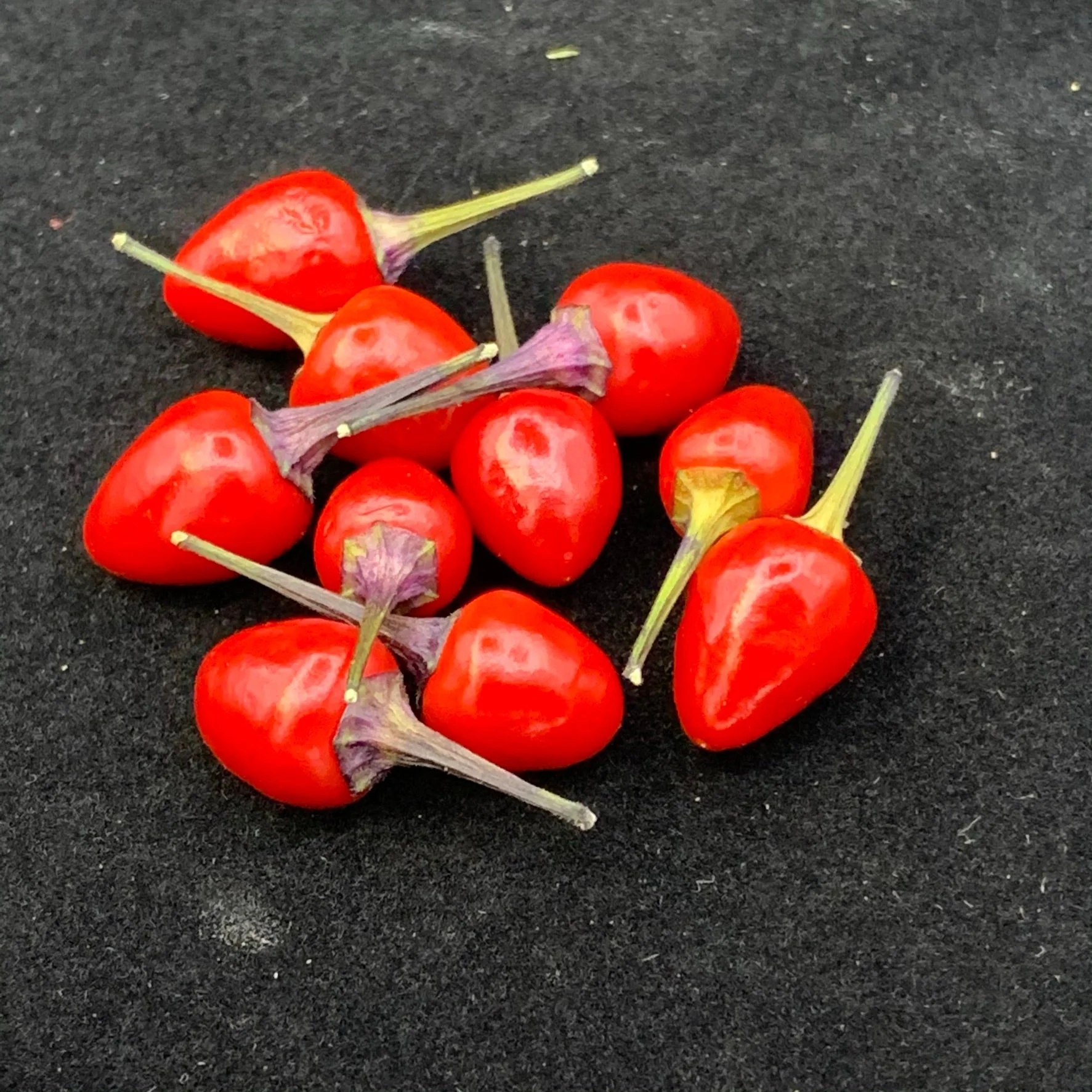 Girlyanda - Seeds - Image 4