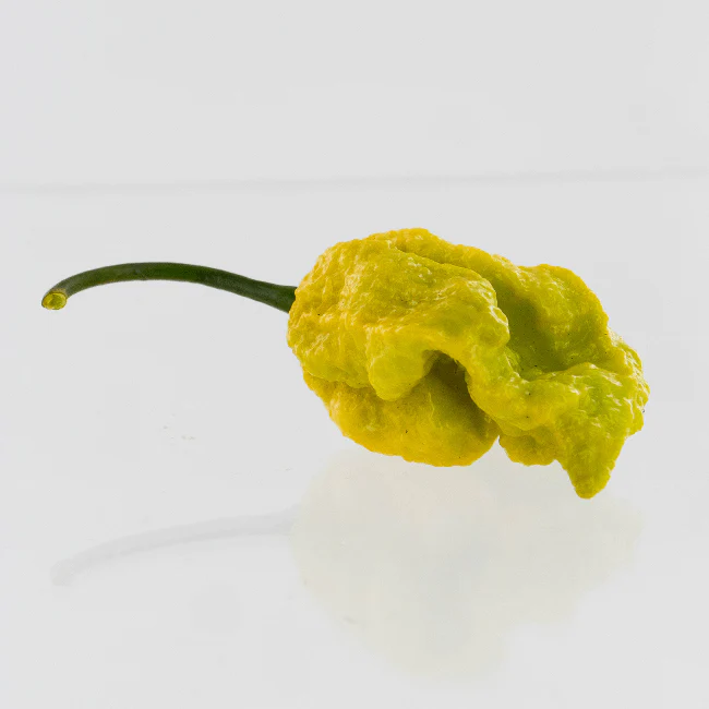 Golden Reaper Pepper Seeds - Image 2