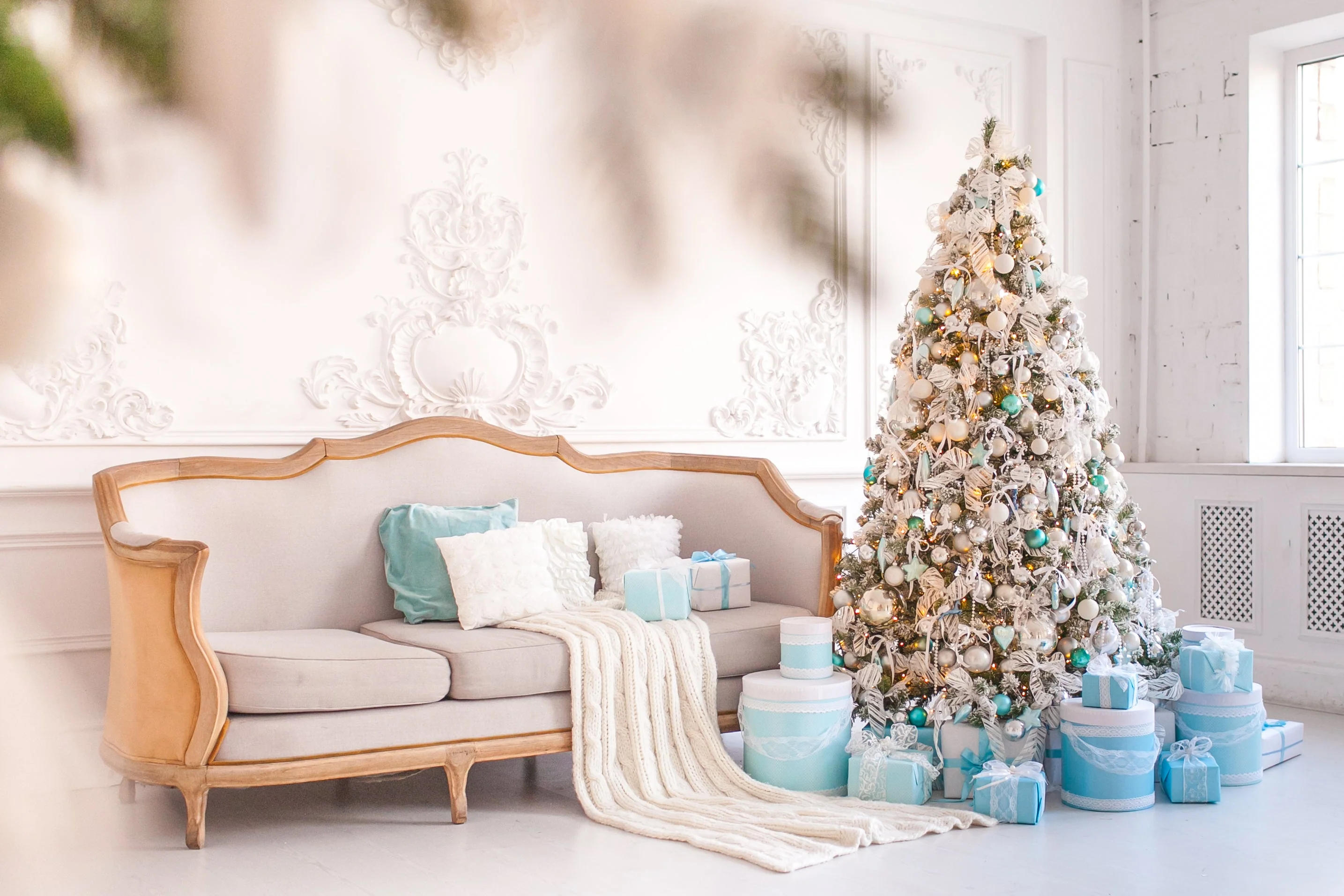 Grow Your Own CHRISTMAS TREE COLLECTION - 4 Gift Packets of Tree Seeds - Fraser Fir, Balsam Fir, Douglas Fir, & Blue Spruce + Free Gift Bag - Image 10