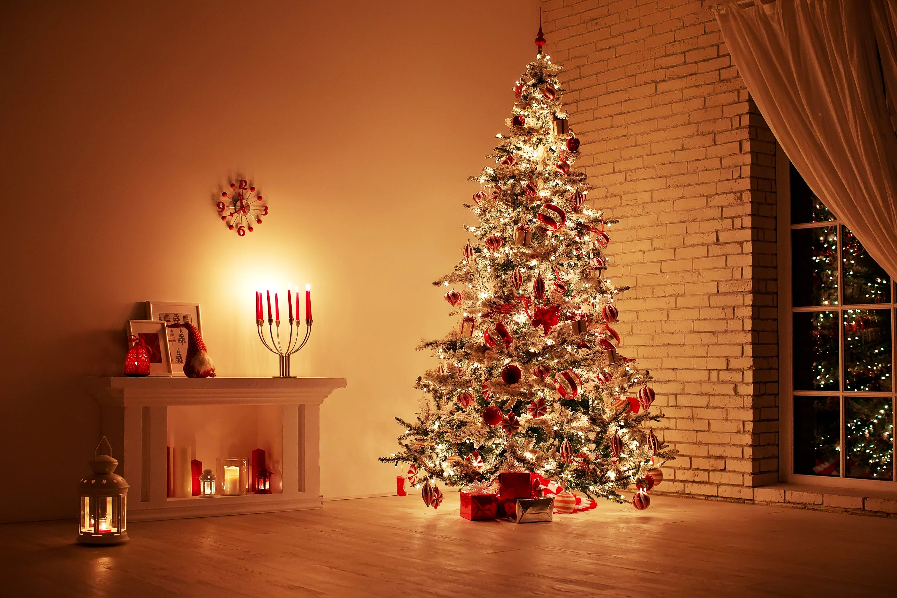 Grow Your Own CHRISTMAS TREE COLLECTION - 4 Gift Packets of Tree Seeds - Fraser Fir, Balsam Fir, Douglas Fir, & Blue Spruce + Free Gift Bag - Image 11