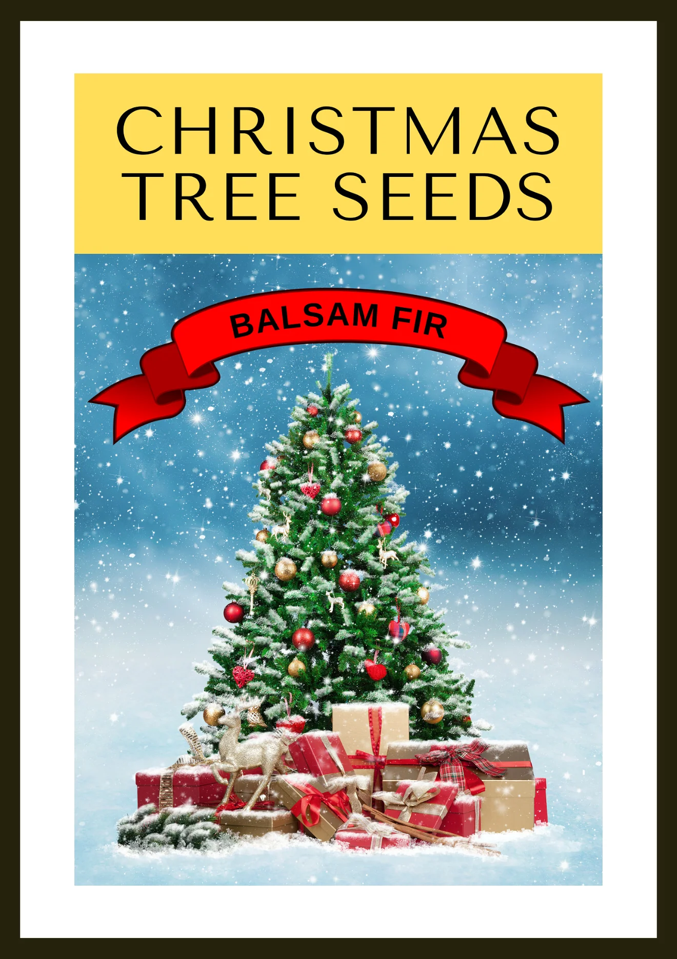 Grow Your Own CHRISTMAS TREE COLLECTION - 4 Gift Packets of Tree Seeds - Fraser Fir, Balsam Fir, Douglas Fir, & Blue Spruce + Free Gift Bag - Image 2