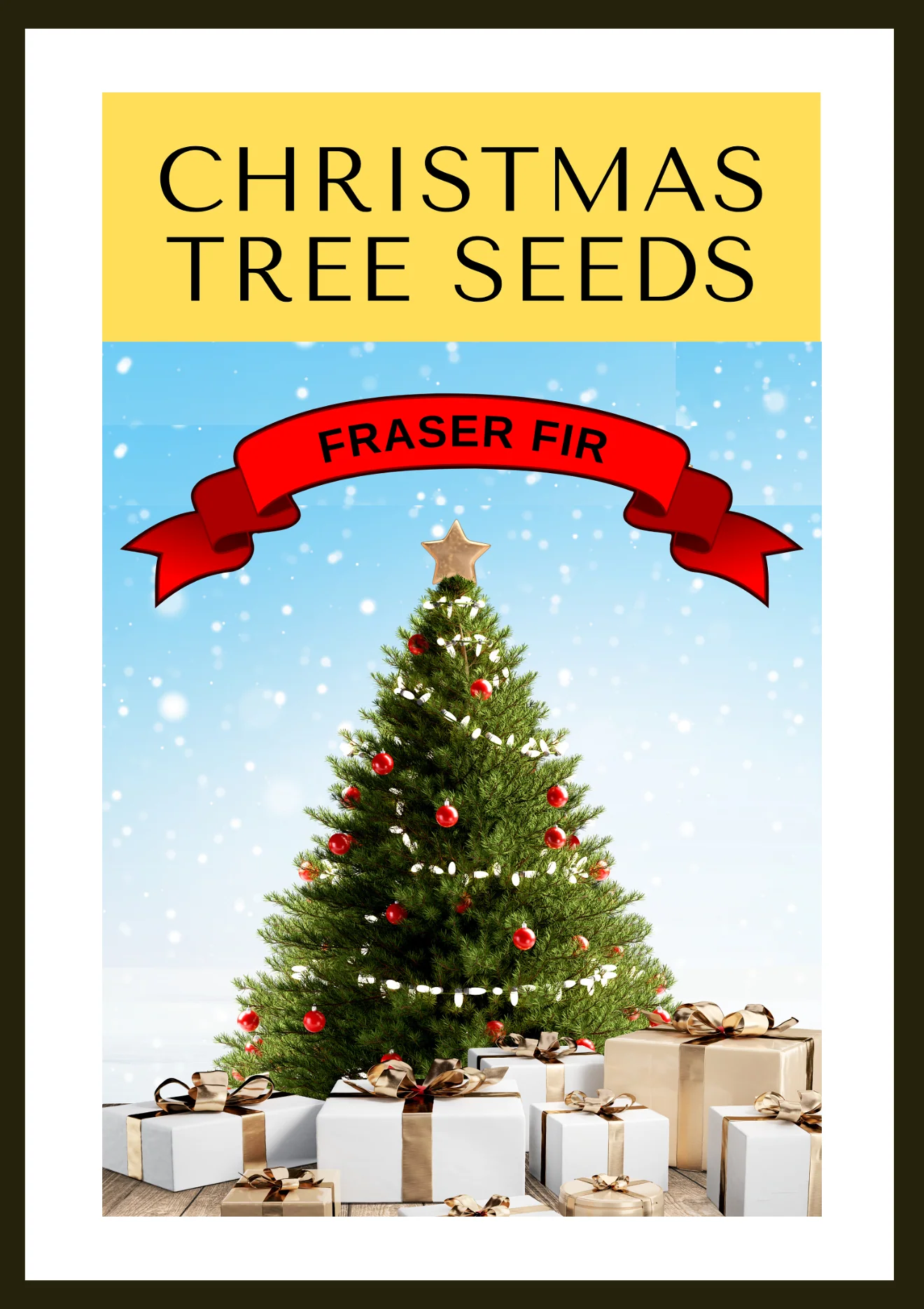 Grow Your Own CHRISTMAS TREE COLLECTION - 4 Gift Packets of Tree Seeds - Fraser Fir, Balsam Fir, Douglas Fir, & Blue Spruce + Free Gift Bag - Image 3