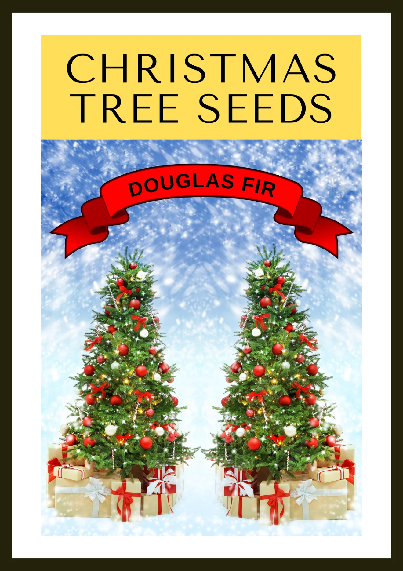 Grow Your Own CHRISTMAS TREE COLLECTION - 4 Gift Packets of Tree Seeds - Fraser Fir, Balsam Fir, Douglas Fir, & Blue Spruce + Free Gift Bag - Image 4