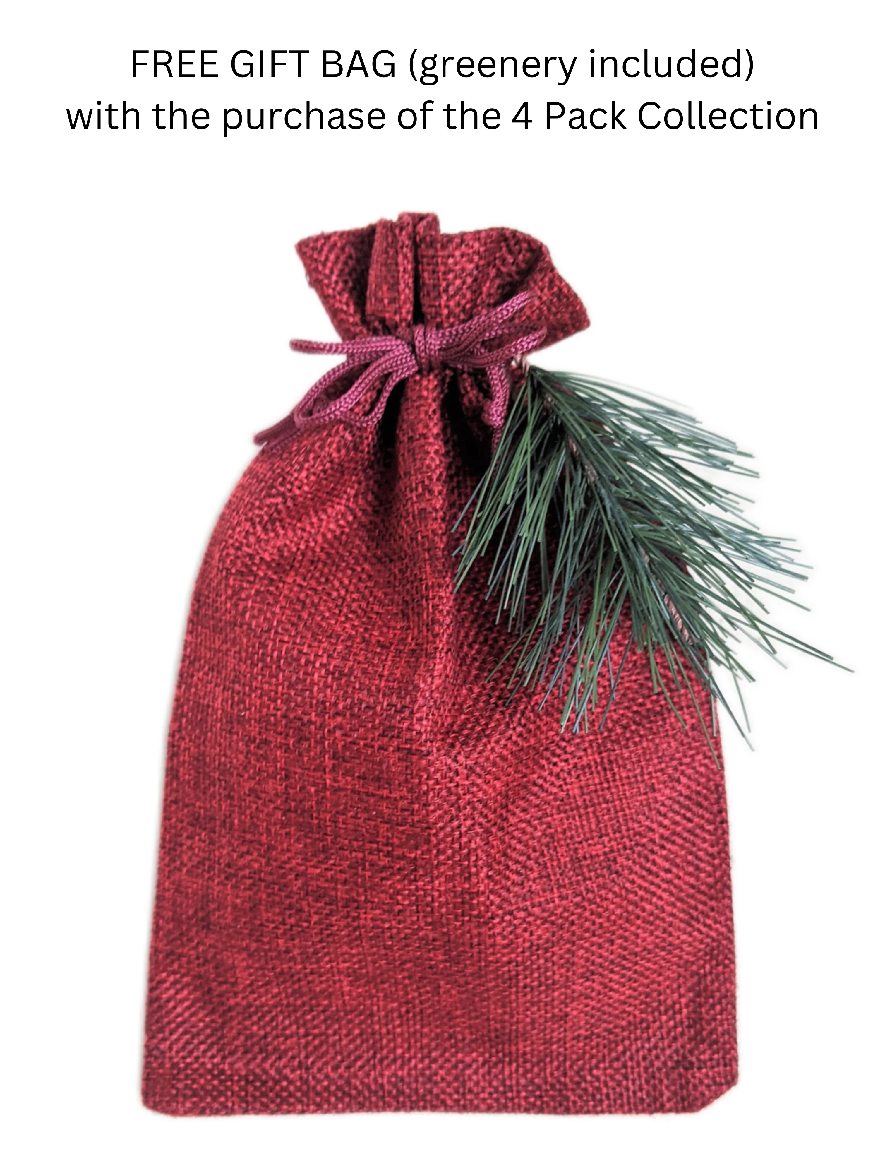Grow Your Own CHRISTMAS TREE COLLECTION - 4 Gift Packets of Tree Seeds - Fraser Fir, Balsam Fir, Douglas Fir, & Blue Spruce + Free Gift Bag - Image 6