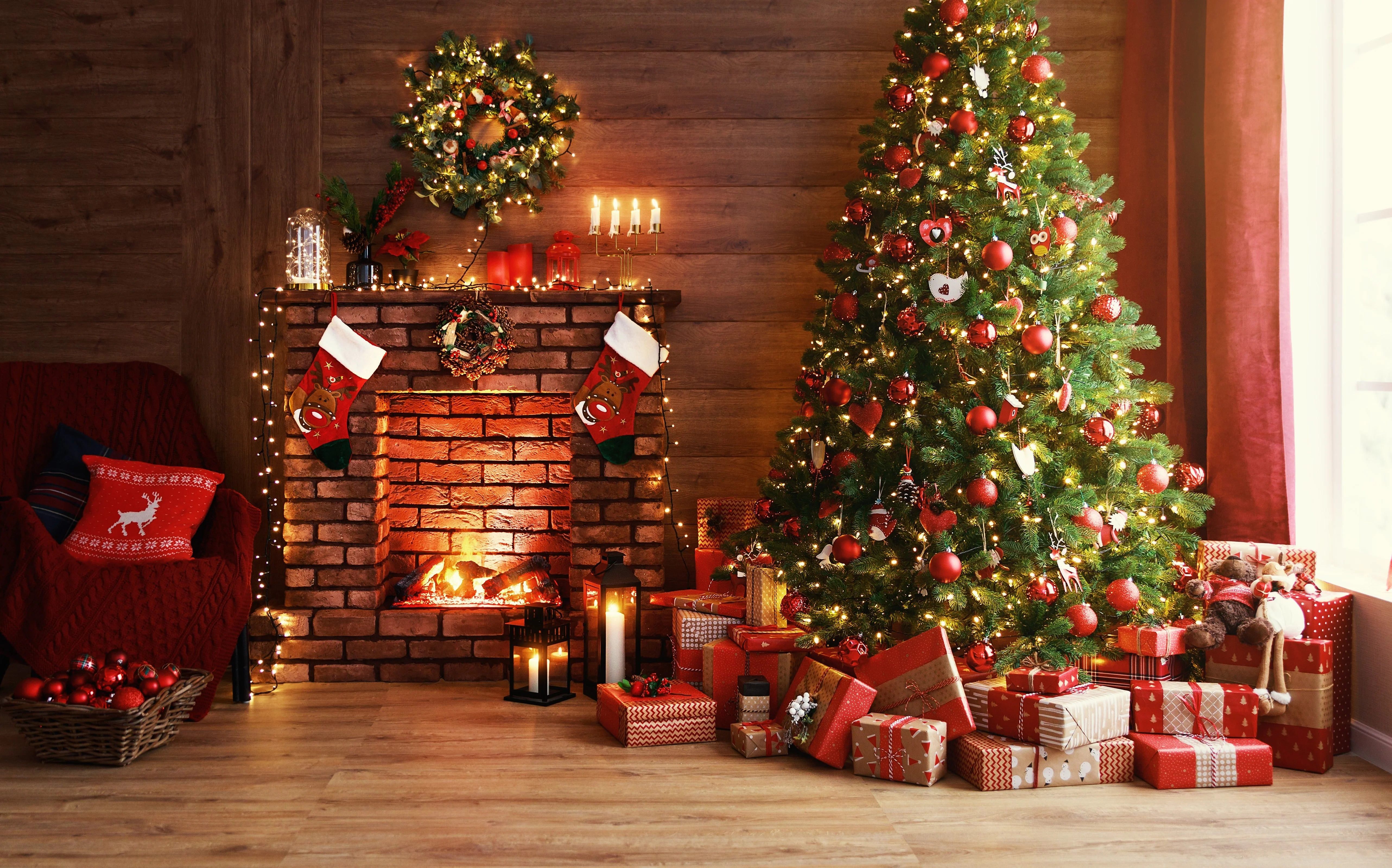 Grow Your Own CHRISTMAS TREE COLLECTION - 4 Gift Packets of Tree Seeds - Fraser Fir, Balsam Fir, Douglas Fir, & Blue Spruce + Free Gift Bag - Image 8