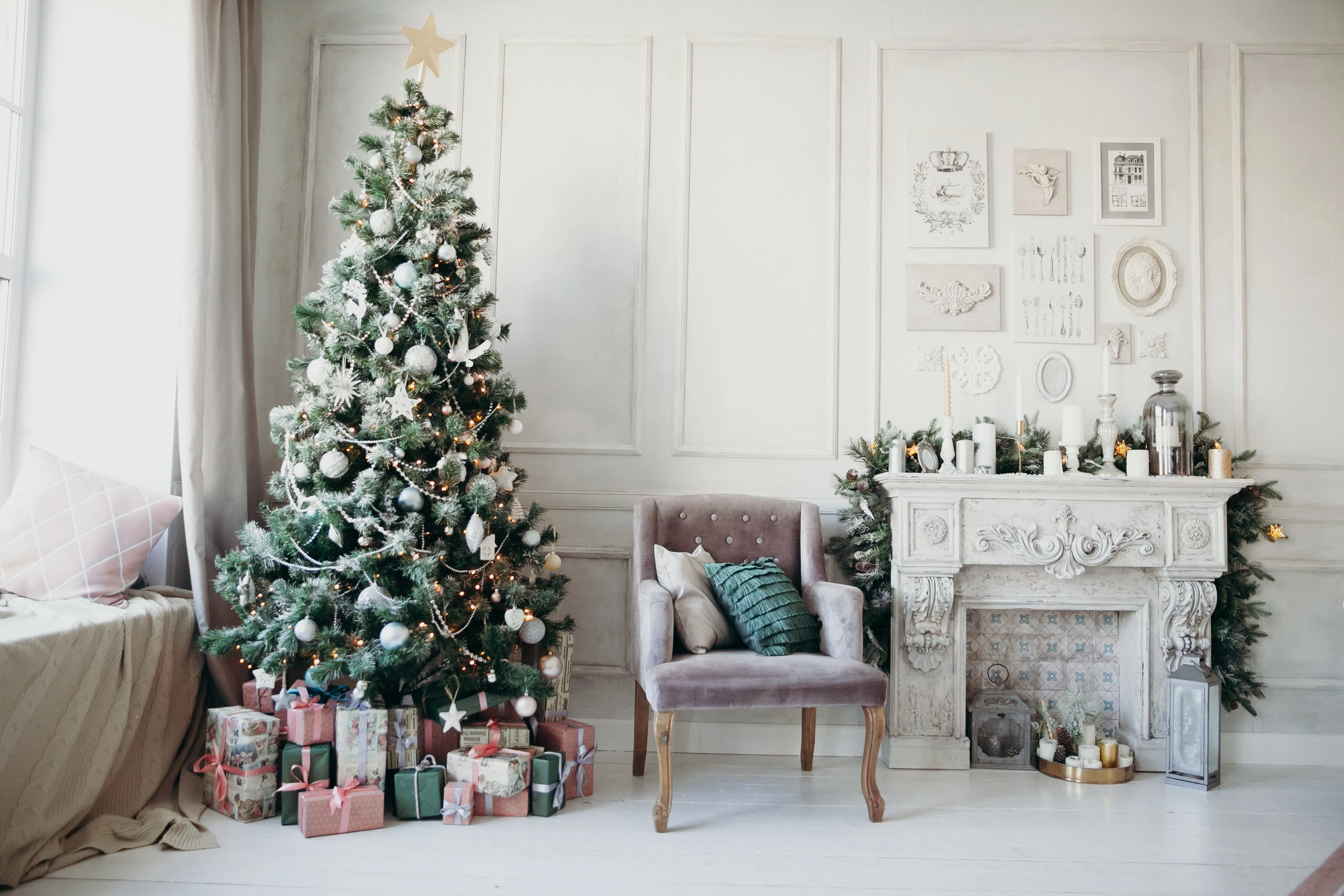 Grow Your Own CHRISTMAS TREE COLLECTION - 4 Gift Packets of Tree Seeds - Fraser Fir, Balsam Fir, Douglas Fir, & Blue Spruce + Free Gift Bag - Image 9